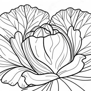 Lettuce Coloring Page | Lettuce coloring page