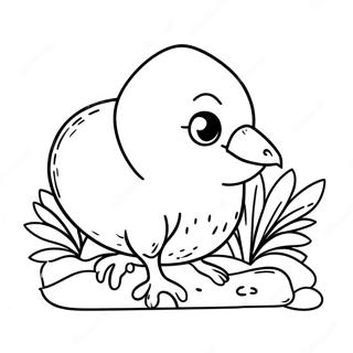 Cute Kiwi Bird Coloring Page | Kiwi coloring page