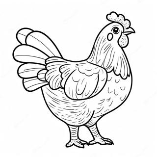 Chicken Coloring Page | Chicken for Adults coloring page