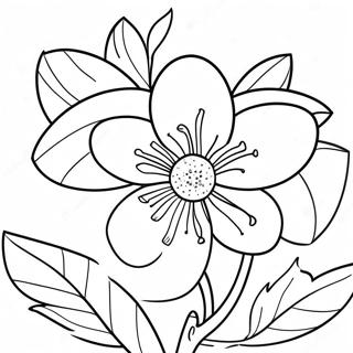 Orange Blossom Flower Coloring Page | Orange Blossom coloring page