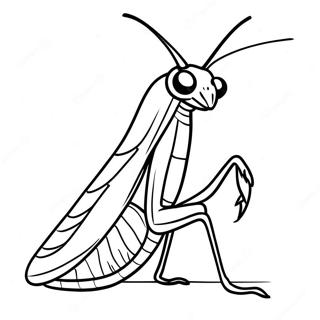 Rukoileva Mantis Värityskuvat