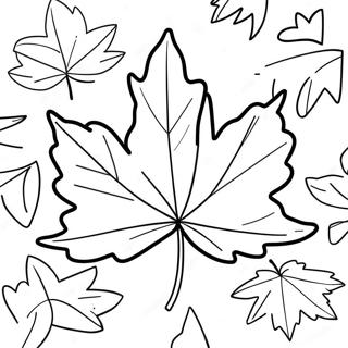 Maple Leaf Coloring Page | Maple Leaf coloring page