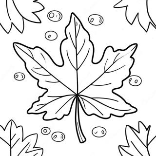 Autumn Maple Leaf Coloring Page | Maple Leaf coloring page