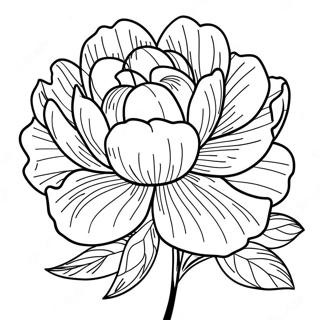 Peony Flower Coloring Page | Peony coloring page