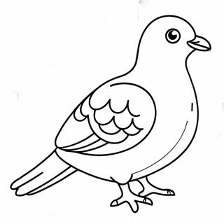 Pigeon Coloring Page | Pigeon coloring page