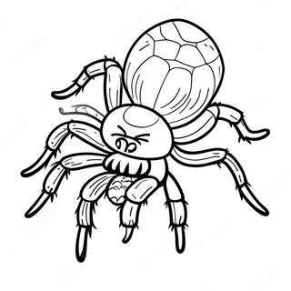 Tarantula Coloring Page | Tarantula coloring page