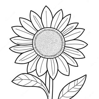 Vibrant Ukrainian Sunflower Coloring Page | Ukrainian coloring page
