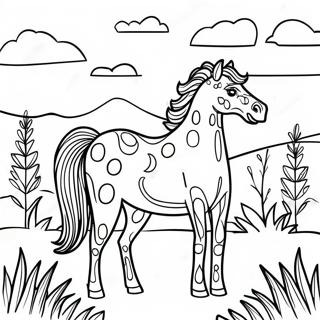 Appaloosa Häst Målarbilder