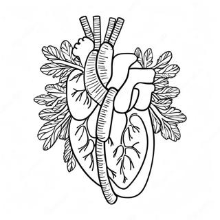 Human Circulatory System Coloring Page | Body Systems coloring page