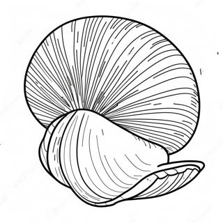 Clam Shell Coloring Page | Clam coloring page