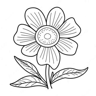 Beautiful Nebraska State Flower Coloring Page | Nebraska State Flower coloring page