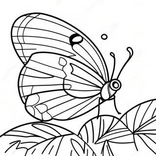 Colorful Leafwing Butterfly Coloring Page | Leafwing coloring page