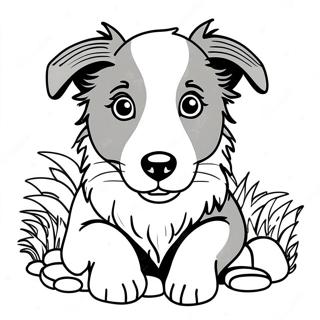Border Collie Puppy Coloring Page | Border Collie coloring page