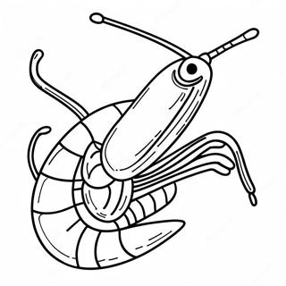 Shrimp Coloring Page | Shrimp coloring page