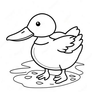Mallard Duck Coloring Page | Mallard Duck coloring page
