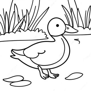 Colorful Mallard Duck in Pond Coloring Page | Mallard Duck coloring page