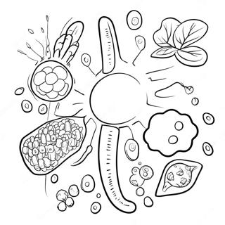 Immune System Coloring Page | Immune System coloring page