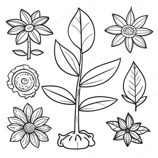 Partes De Uma Planta Páginas para Colorir