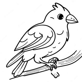 Tropical Bird Coloring Pages