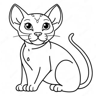 Gatto Sphynx Pagine da Colorare