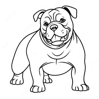 American Bully Dog Coloring Page | American Bully coloring page