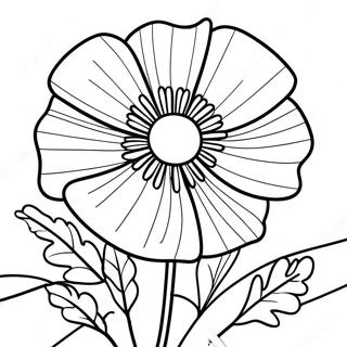 Flor De Papoula Páginas para Colorir
