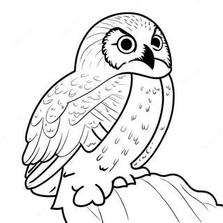 Snowy Owl Coloring Page | Snowy Owl coloring page