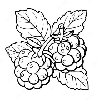 Raspberry Fruit Coloring Page | Raspberry coloring page