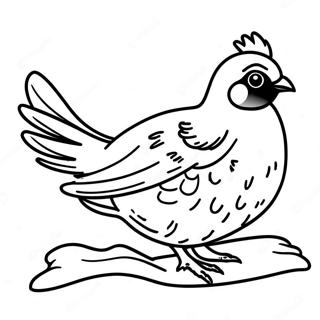 Kwartel Kleurplaten