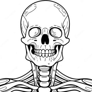 Skeletal System Anatomy Coloring Page | Skeletal System coloring page