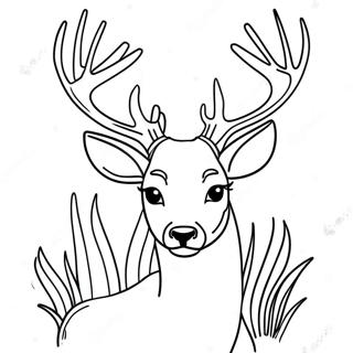Majestic Deer Portrait Coloring Page | Realistic Deer for Adults coloring page