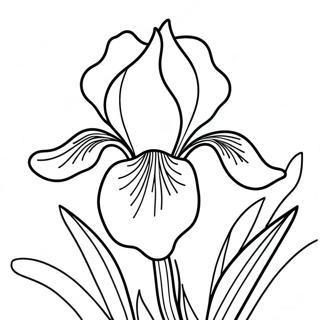 Iris Flower Coloring Page | Iris coloring page