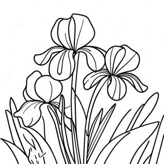Beautiful Iris Garden Coloring Page | Iris coloring page
