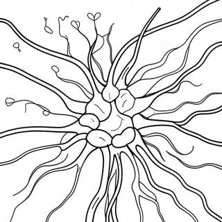 Bunte Gehirnneuronen Ausmalbild | Anatomie des Gehirns Ausmalbild