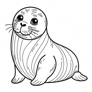 Seal Coloring Page | Seal coloring page