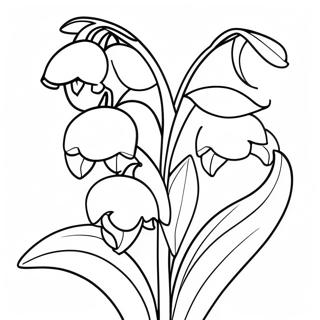 Lilie af Dalen Blomst Malebog | Liljekonval malebog