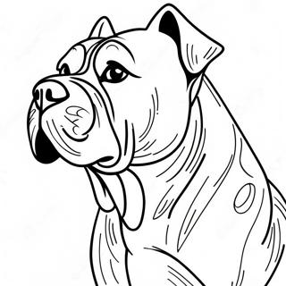 Cane Corso Coloring Page | Cane Corso coloring page