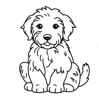 Aussiedoodle Puppy Coloring Page | Aussiedoodle coloring page