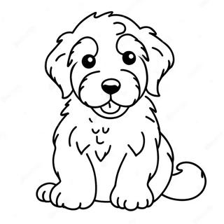 Aussiedoodle Coloriages