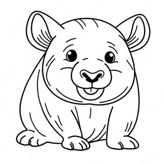Wombat Coloring Page | Wombat coloring page