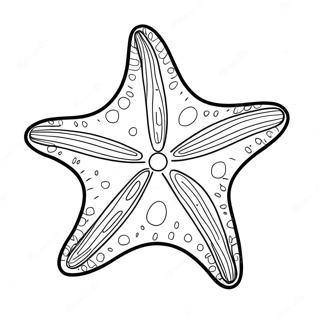 Starfish Coloring Page | Starfish coloring page