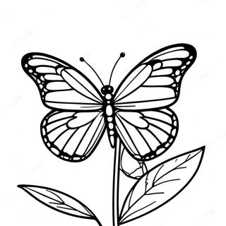 Monarch Butterfly Coloring Page | Monarch Butterfly coloring page