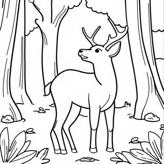 White Tailed Deer in a Forest Coloring Page | White Tailed Deer coloring page
