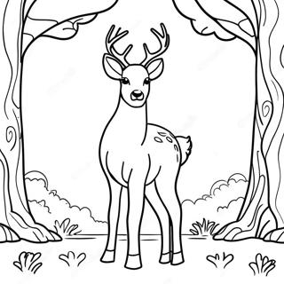 Majestic White Tailed Deer Standing Coloring Page | White Tailed Deer coloring page