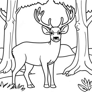 Majestic Mule Deer in Forest Coloring Page | Mule Deer coloring page