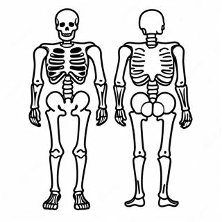 X Ray Skeleton Coloring Page | X Ray coloring page