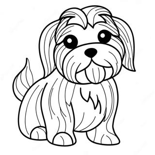 Havanese Dog Coloring Page | Havanese coloring page