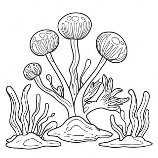 Algae Coloring Page | Algae coloring page
