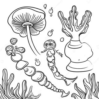 Algae Coloring Pages