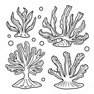 Colorful Seaweed and Algae Coloring Page | Algae coloring page